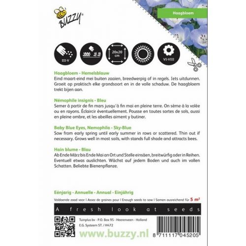Buzzy® Nemophila, Haagbloem Hemelsblauw - afbeelding 4