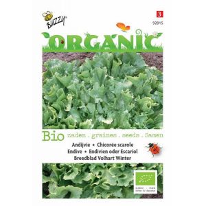 Buzzy® Organic Andijvie Breedblad Volhart Winter (BIO) - afbeelding 1