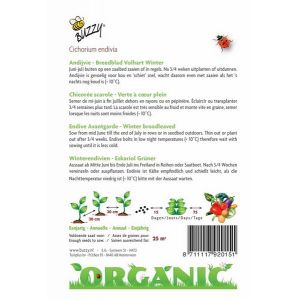 Buzzy® Organic Andijvie Breedblad Volhart Winter (BIO) - afbeelding 2