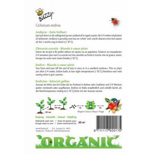 Buzzy® Organic Andijvie Gele Volhart  (BIO) - afbeelding 2