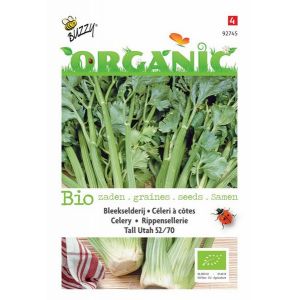 Buzzy® Organic Bleekselderij Tall Utah 52/70 (BIO)