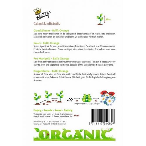 Buzzy® Organic Calendula, Goudsbloem Ball's Orange  (BIO) - afbeelding 2