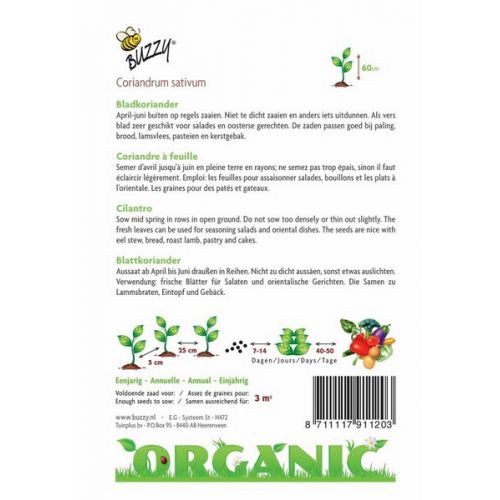 Buzzy® Organic Koriander (bladkoriander) (BIO) - afbeelding 3