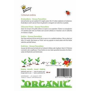 Buzzy® Organic Krulandijvie Grosse Pancalière  (BIO) - afbeelding 2