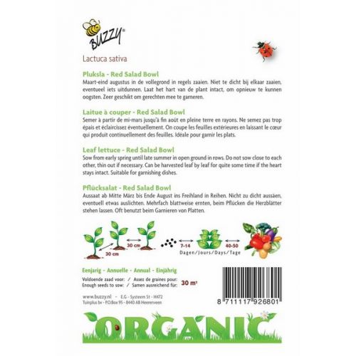 Buzzy® Organic Pluksla Red Salad Bowl  (BIO) - afbeelding 2
