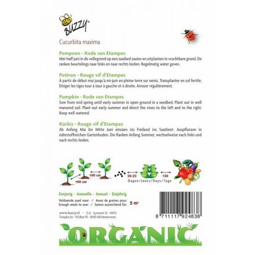 Buzzy® Organic Pompoen Rode van Etampes (BIO) - afbeelding 2