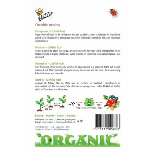Buzzy® Organic Pompoen Uchiki Kuri  (BIO) - afbeelding 2