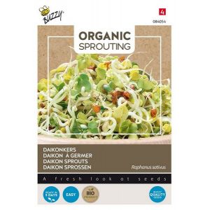 Buzzy® Organic Sprouting Daikonkers  (BIO) - afbeelding 1