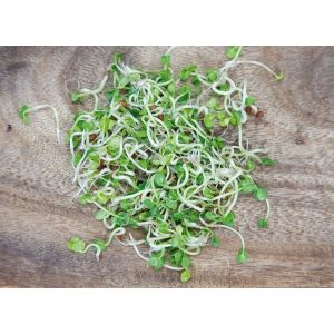 Buzzy® Organic Spruitgroente Daikon glazen pot (6) - afbeelding 1