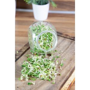 Buzzy® Organic Spruitgroente Daikon glazen pot (6) - afbeelding 3