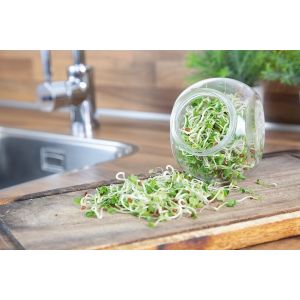 Buzzy® Organic Spruitgroente Daikon glazen pot (6) - afbeelding 5