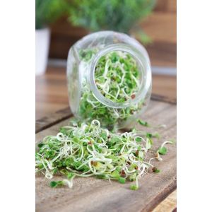 Buzzy® Organic Spruitgroente Daikon glazen pot (6) - afbeelding 4