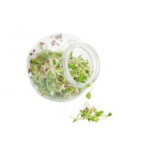 Buzzy® Organic Spruitgroente Daikon glazen pot (6) - afbeelding 7