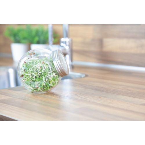Buzzy® Organic Spruitgroente Daikon glazen pot (6) - afbeelding 6