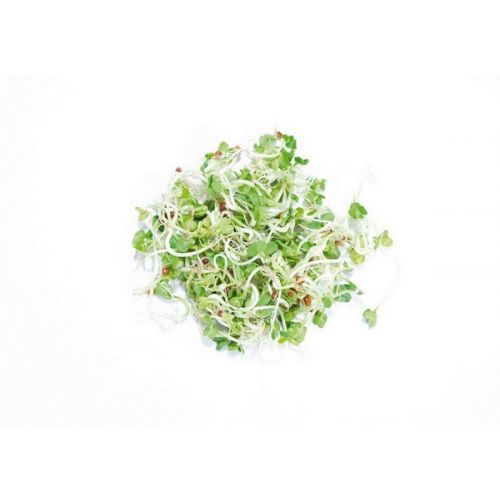 Buzzy® Organic Spruitgroente Daikon glazen pot (6) - afbeelding 8