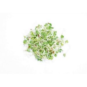 Buzzy® Organic Spruitgroente Daikon glazen pot (6) - afbeelding 8