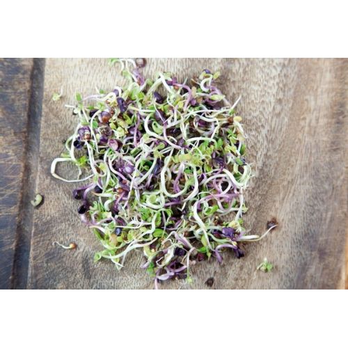 Buzzy® Organic Spruitgroente Pikante Salade glazen pot (6) - afbeelding 1