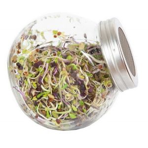 Buzzy® Organic Spruitgroente Pikante Salade glazen pot (6) - afbeelding 3