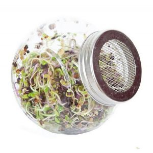 Buzzy® Organic Spruitgroente Pikante Salade glazen pot (6) - afbeelding 4