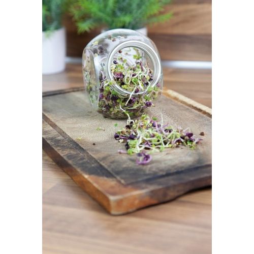 Buzzy® Organic Spruitgroente Pikante Salade glazen pot (6) - afbeelding 6