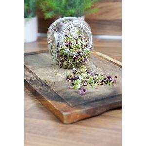 Buzzy® Organic Spruitgroente Pikante Salade glazen pot (6) - afbeelding 6