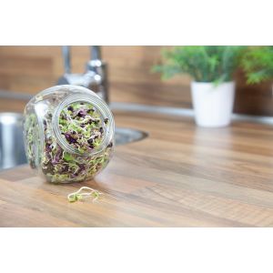Buzzy® Organic Spruitgroente Pikante Salade glazen pot (6) - afbeelding 8