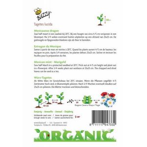 Buzzy® Organic Tagetes Lucida, Mexicaanse dragon (BIO) - afbeelding 2
