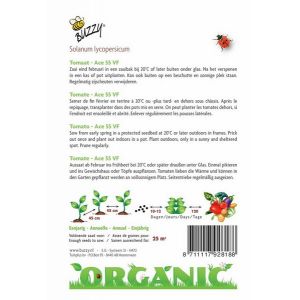 Buzzy® Organic Tomaten Ace 55 VF  (BIO) - afbeelding 2
