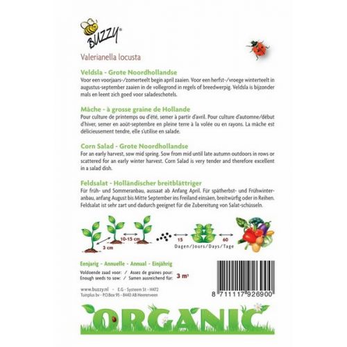 Buzzy® Organic Veldsla Grote Noordhollandse  (BIO) - afbeelding 2