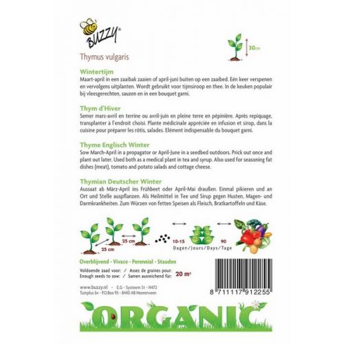 Buzzy® Organic Winter Tijm (BIO) - afbeelding 2