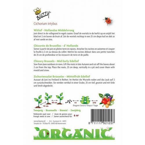 Buzzy® Organic Witlof Hollandse Middelvroeg  (BIO) - afbeelding 2