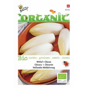 Buzzy® Organic Witlof Hollandse Middelvroeg  (BIO) - afbeelding 1