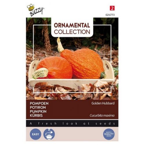Buzzy® Ornamental Pompoen Golden Hubbard - afbeelding 1