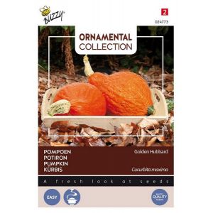 Buzzy® Ornamental Pompoen Golden Hubbard - afbeelding 1