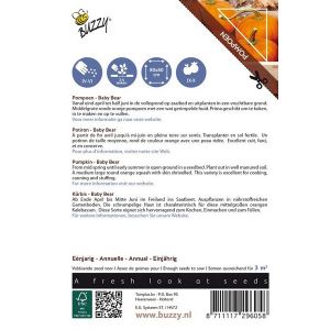 Buzzy® Ornamental Wintersquash Baby Bear - afbeelding 3