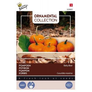 Buzzy® Ornamental Wintersquash Baby Bear - afbeelding 1