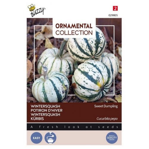 Buzzy® Ornamental Wintersquash Sweet Dumpling - afbeelding 2
