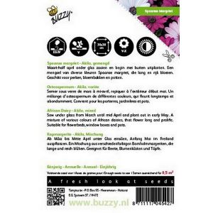 Buzzy® Osteospermum, Spaanse Margriet Akila mix - afbeelding 2