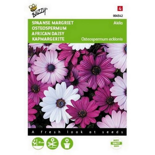 Buzzy® Osteospermum, Spaanse Margriet Akila mix - afbeelding 1