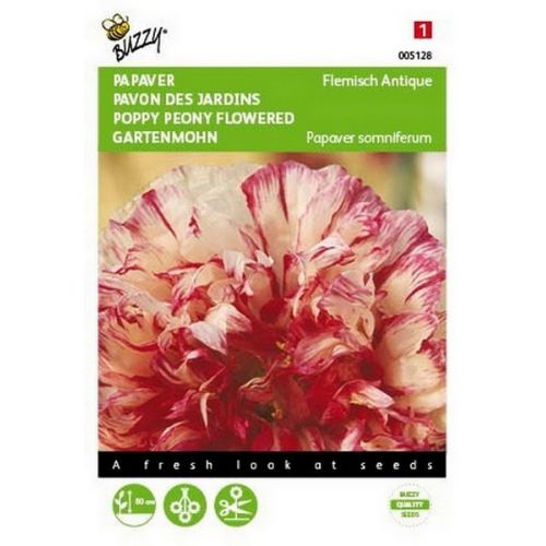 Buzzy® Papaver, Slaapbol Flemish Antique - afbeelding 1