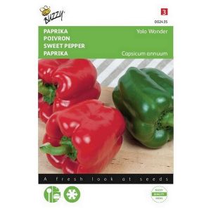 Buzzy® Paprika Yolo Wonder - afbeelding 1
