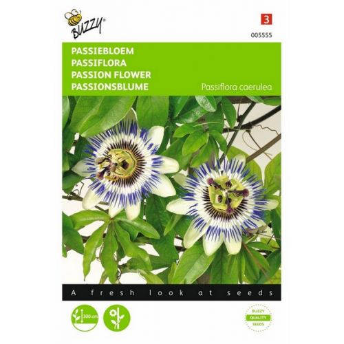 Buzzy® Passiflora, Passiebloem - afbeelding 1
