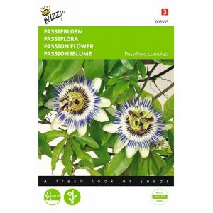 Buzzy® Passiflora, Passiebloem - afbeelding 1