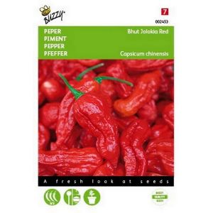 Buzzy® Peper Bhut Jolokia Red - afbeelding 1