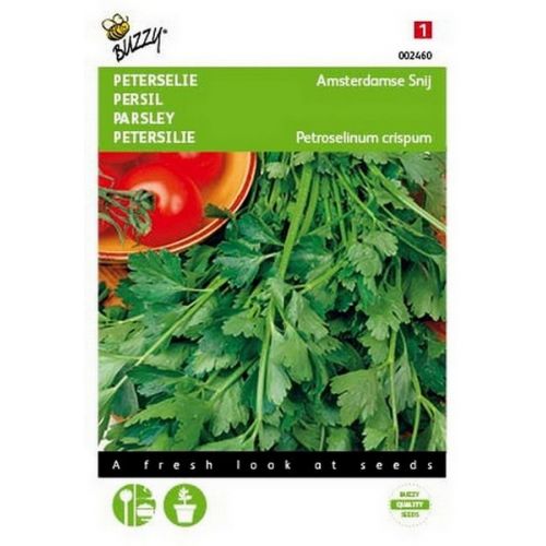 Buzzy® Peterselie Amsterdamse Snij - afbeelding 1