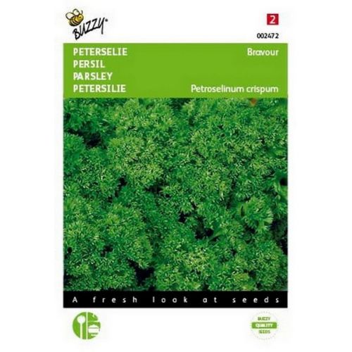 Buzzy® Peterselie Bravour - afbeelding 1