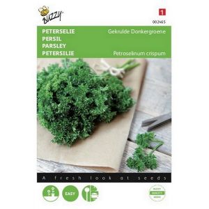 Buzzy® Peterselie Gekrulde Donkergroene - afbeelding 1