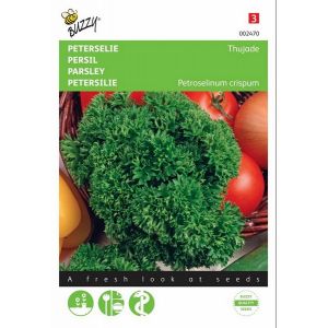 Buzzy® Peterselie Thujade, donkergroene - afbeelding 1