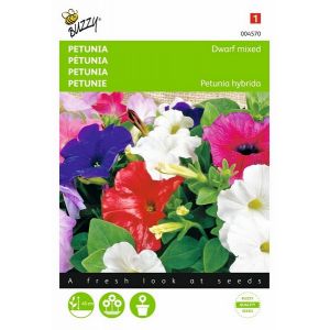 Buzzy® Petunia laag gemengd - afbeelding 1