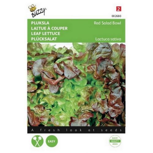 Buzzy® Pluksla Red Salad Bowl, Rode Eikenblad - afbeelding 1